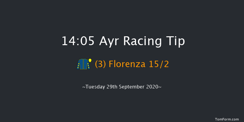 Branding Hub Handicap (Div 1) Ayr 14:05 Handicap (Class 6) 7f Sat 19th Sep 2020