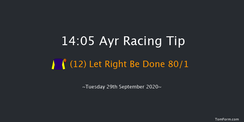 Branding Hub Handicap (Div 1) Ayr 14:05 Handicap (Class 6) 7f Sat 19th Sep 2020