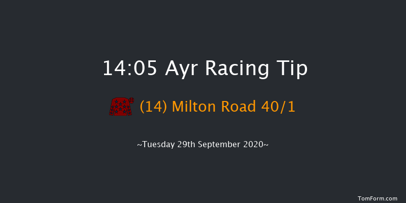 Branding Hub Handicap (Div 1) Ayr 14:05 Handicap (Class 6) 7f Sat 19th Sep 2020