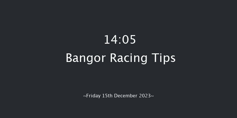 Bangor 14:05 Handicap Hurdle (Class 3) 23f Sat 2nd Dec 2023