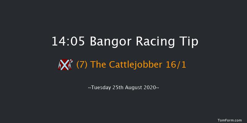 Bangor 14:05 Handicap Hurdle (Class 5) 23f Wed 29th Jul 2020