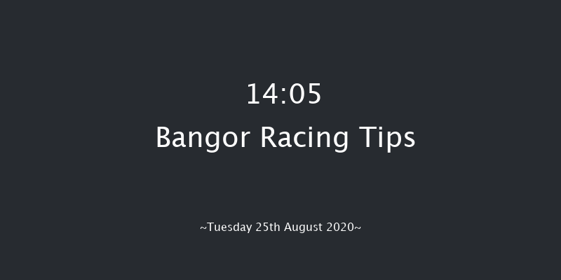 Bangor 14:05 Handicap Hurdle (Class 5) 23f Wed 29th Jul 2020