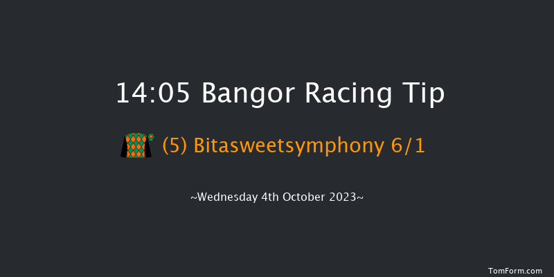 Bangor 14:05 Handicap Chase (Class 4) 20f Tue 5th Sep 2023
