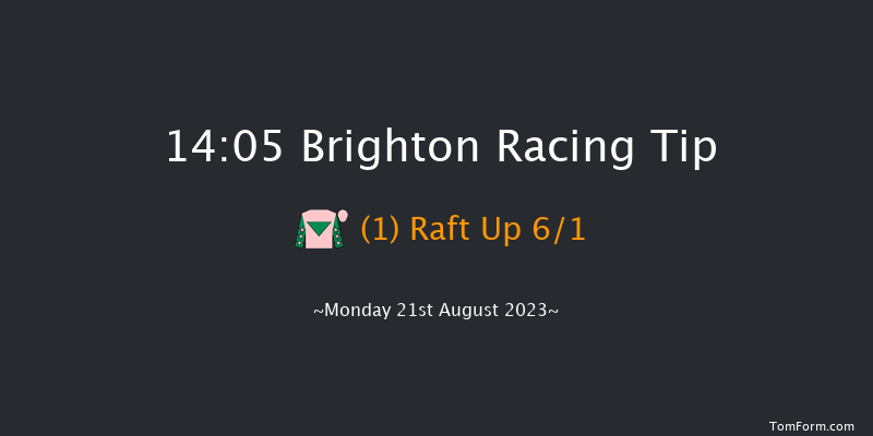 Brighton 14:05 Handicap (Class 6) 5f Fri 11th Aug 2023