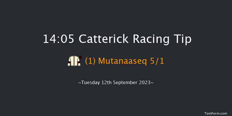 Catterick 14:05 Handicap (Class 6) 7f Wed 30th Aug 2023