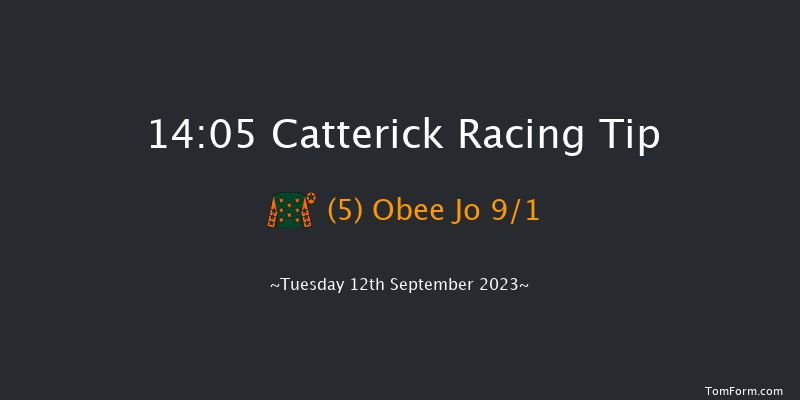 Catterick 14:05 Handicap (Class 6) 7f Wed 30th Aug 2023