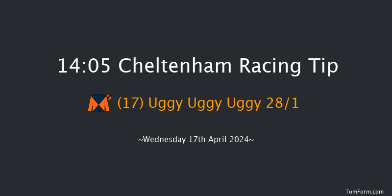 Cheltenham  14:05 Handicap Hurdle (Class 2)
20f Fri 15th Mar 2024