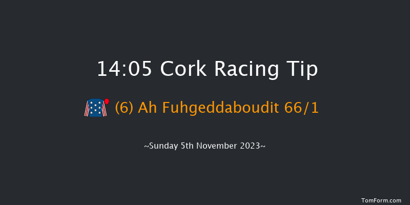 Cork 14:05 Maiden Hurdle 24f Sun 15th Oct 2023