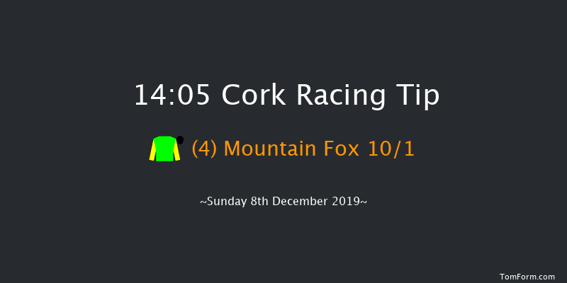 Cork 14:05 Handicap Hurdle 16f Sun 17th Nov 2019