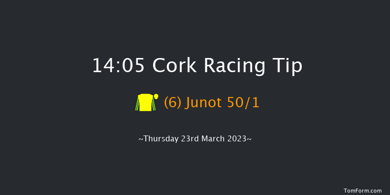 Cork 14:05 Maiden Hurdle 16f Sat 7th Jan 2023