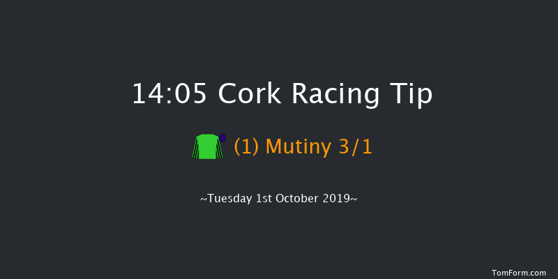 Cork 14:05 Maiden 6f Sun 1st Sep 2019
