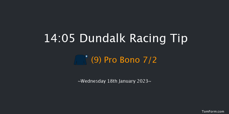 Dundalk 14:05 Handicap 11f Fri 13th Jan 2023