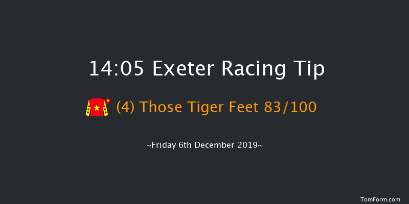 Exeter 14:05 Handicap Hurdle (Class 4) 23f Wed 13th Nov 2019