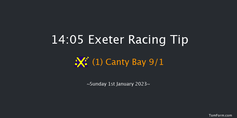 Exeter 14:05 Maiden Hurdle (Class 4) 18f Fri 2nd Dec 2022