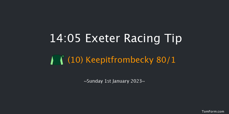 Exeter 14:05 Maiden Hurdle (Class 4) 18f Fri 2nd Dec 2022