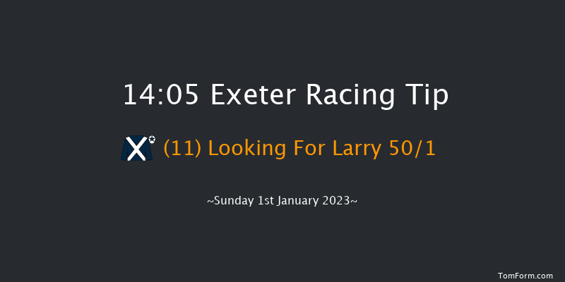 Exeter 14:05 Maiden Hurdle (Class 4) 18f Fri 2nd Dec 2022