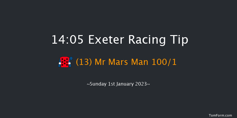 Exeter 14:05 Maiden Hurdle (Class 4) 18f Fri 2nd Dec 2022