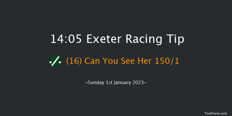 Exeter 14:05 Maiden Hurdle (Class 4) 18f Fri 2nd Dec 2022