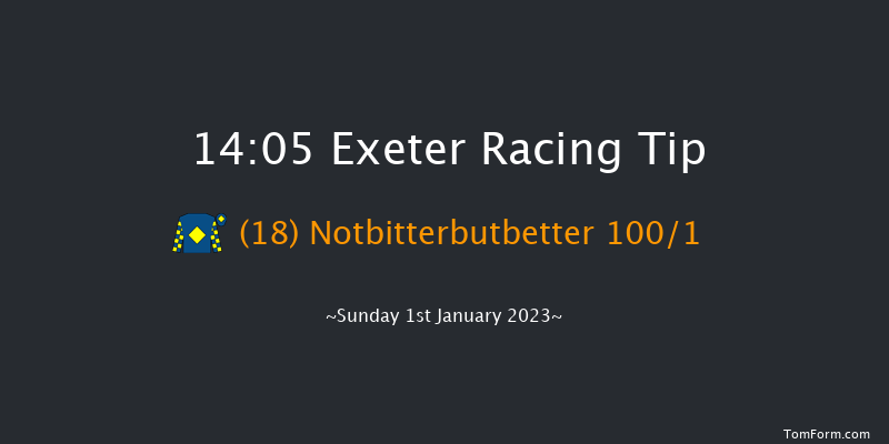 Exeter 14:05 Maiden Hurdle (Class 4) 18f Fri 2nd Dec 2022