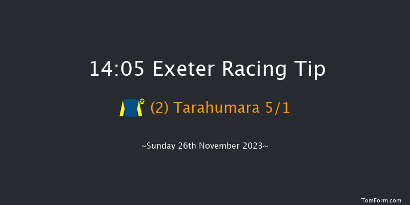 Exeter 14:05 Handicap Hurdle (Class 3) 18f Mon 20th Nov 2023