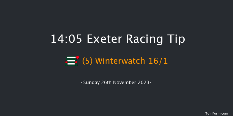 Exeter 14:05 Handicap Hurdle (Class 3) 18f Mon 20th Nov 2023