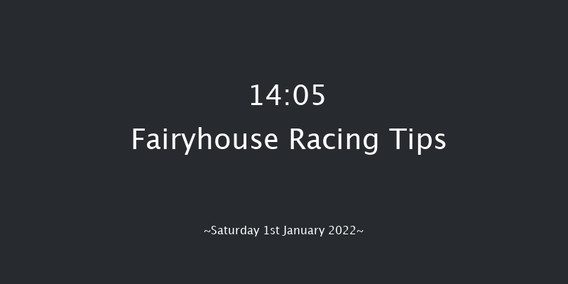Fairyhouse 14:05 Handicap Hurdle 24f Sat 11th Dec 2021