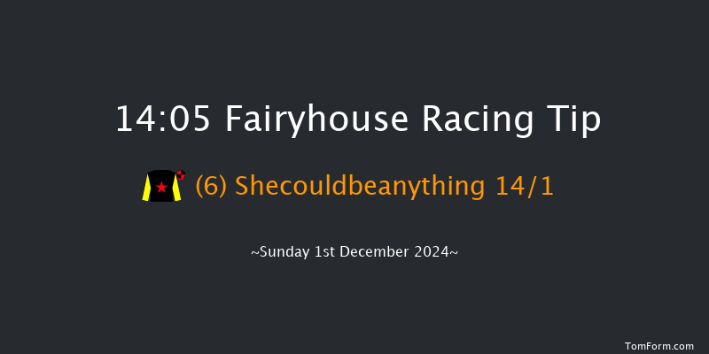 Fairyhouse  14:05 Maiden Chase 20f Sat 30th Nov 2024