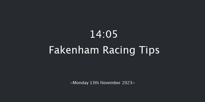 Fakenham 14:05 Maiden Hurdle (Class 4) 20f Wed 1st Nov 2023