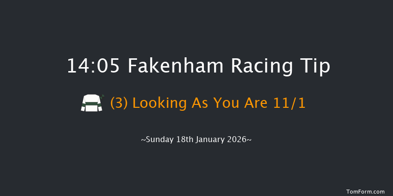Fakenham 14-05 (Class 3) 20f Fri 2nd Jan 2026