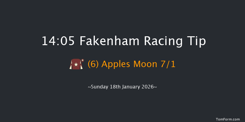 Fakenham 14-05 (Class 3) 20f Fri 2nd Jan 2026