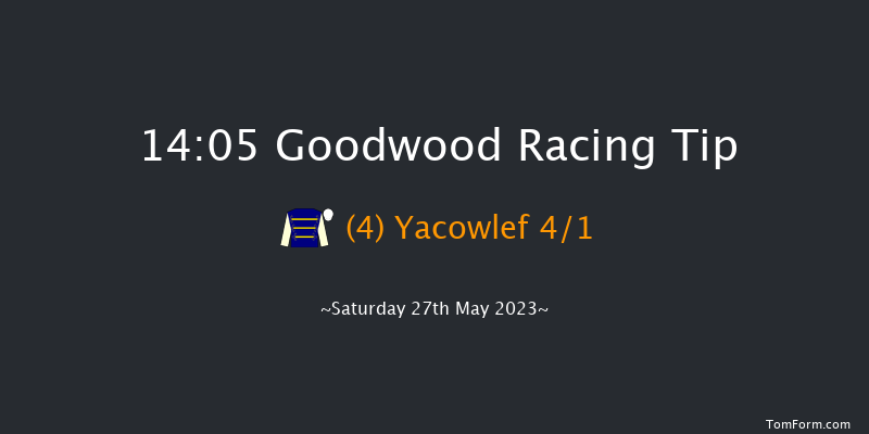 Goodwood 14:05 Handicap (Class 2) 7f Fri 26th May 2023