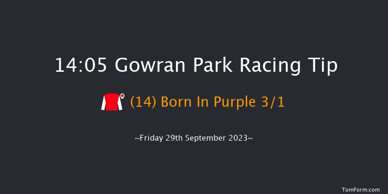 Gowran Park 14:05 Maiden Hurdle 16f Wed 6th Sep 2023