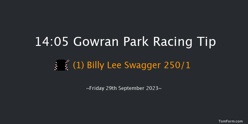 Gowran Park 14:05 Maiden Hurdle 16f Wed 6th Sep 2023