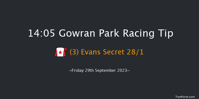 Gowran Park 14:05 Maiden Hurdle 16f Wed 6th Sep 2023