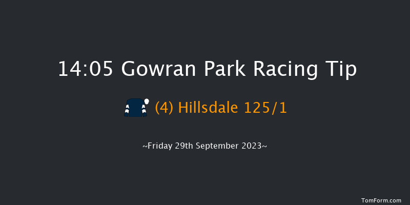Gowran Park 14:05 Maiden Hurdle 16f Wed 6th Sep 2023