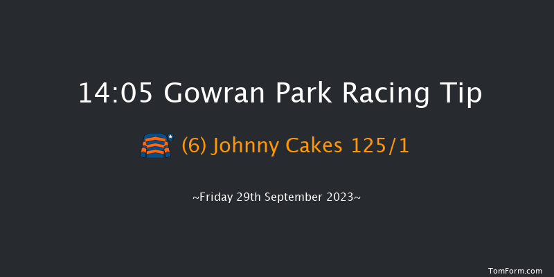 Gowran Park 14:05 Maiden Hurdle 16f Wed 6th Sep 2023