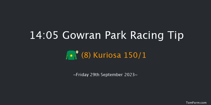 Gowran Park 14:05 Maiden Hurdle 16f Wed 6th Sep 2023