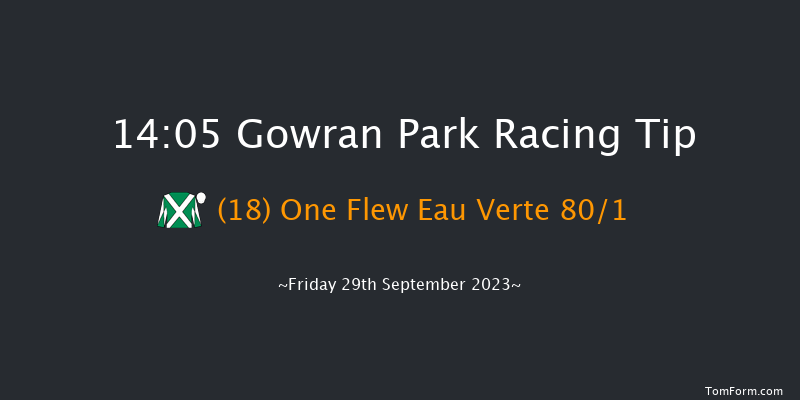 Gowran Park 14:05 Maiden Hurdle 16f Wed 6th Sep 2023