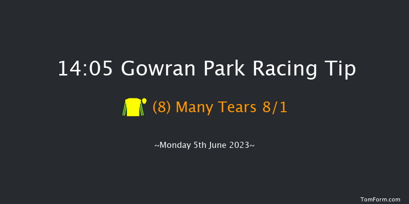 Gowran Park 14:05 Maiden 7f Tue 23rd May 2023
