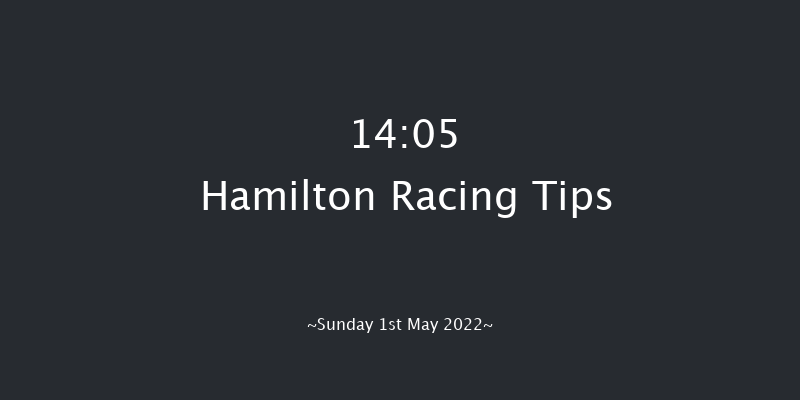 Hamilton 14:05 Handicap (Class 3) 13f Fri 14th May 2021