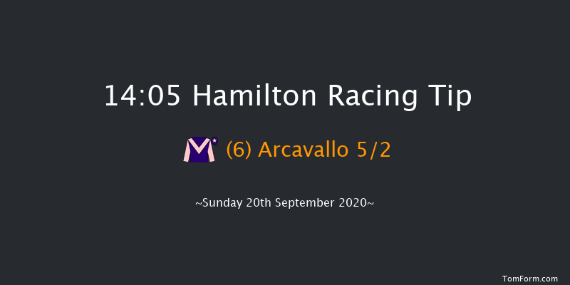 Barbara Ann Letham & Son Jonathan Memorial Handicap Hamilton 14:05 Handicap (Class 6) 5f Tue 1st Sep 2020