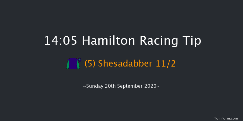 Barbara Ann Letham & Son Jonathan Memorial Handicap Hamilton 14:05 Handicap (Class 6) 5f Tue 1st Sep 2020