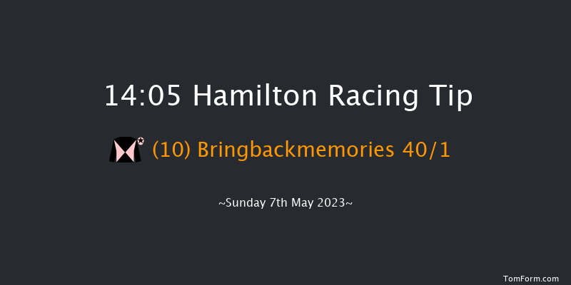 Hamilton 14:05 Handicap (Class 3) 13f Mon 26th Sep 2022