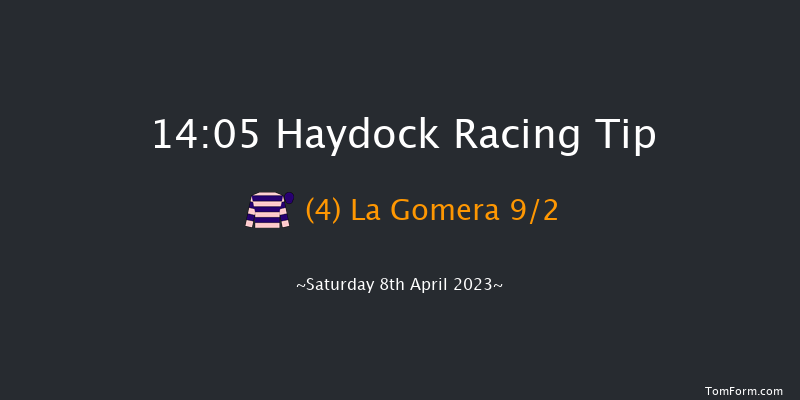 Haydock 14:05 Maiden Hurdle (Class 4) 19f Wed 22nd Mar 2023