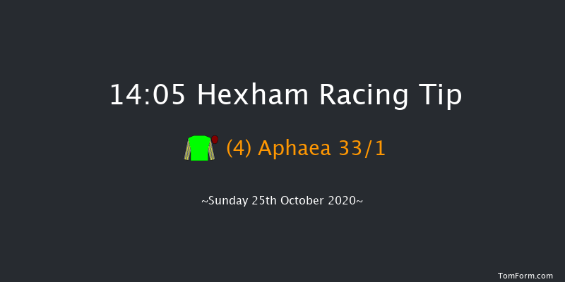 Juniper Maiden Hurdle (GBB Race) Hexham 14:05 Maiden Hurdle (Class 4) 20f Sat 10th Oct 2020