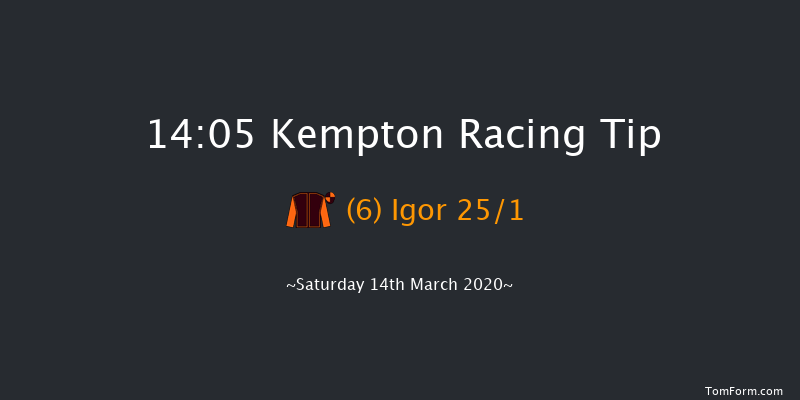 European Breeders Fund Paddy Power 'National Hunt' E.B.F. Novices' Handicap Hurdle (Grad Kempton 14:05 Handicap Hurdle (Class 1) 21f Wed 11th Mar 2020