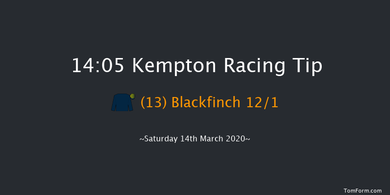 European Breeders Fund Paddy Power 'National Hunt' E.B.F. Novices' Handicap Hurdle (Grad Kempton 14:05 Handicap Hurdle (Class 1) 21f Wed 11th Mar 2020