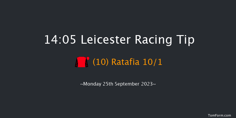 Leicester 14:05 Handicap (Class 6) 7f Tue 12th Sep 2023