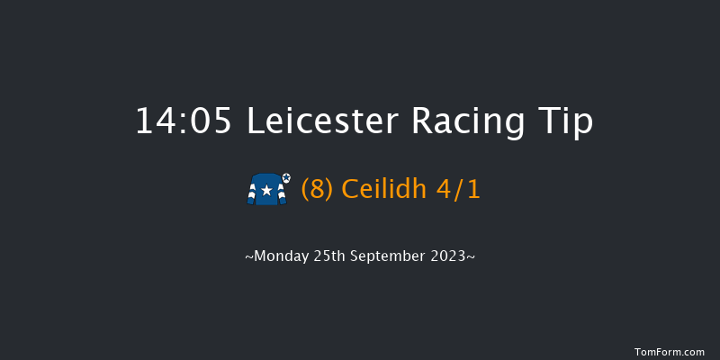 Leicester 14:05 Handicap (Class 6) 7f Tue 12th Sep 2023