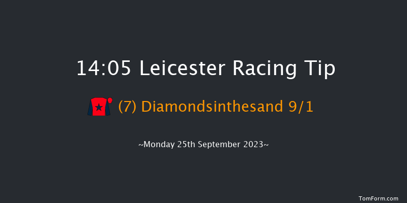 Leicester 14:05 Handicap (Class 6) 7f Tue 12th Sep 2023